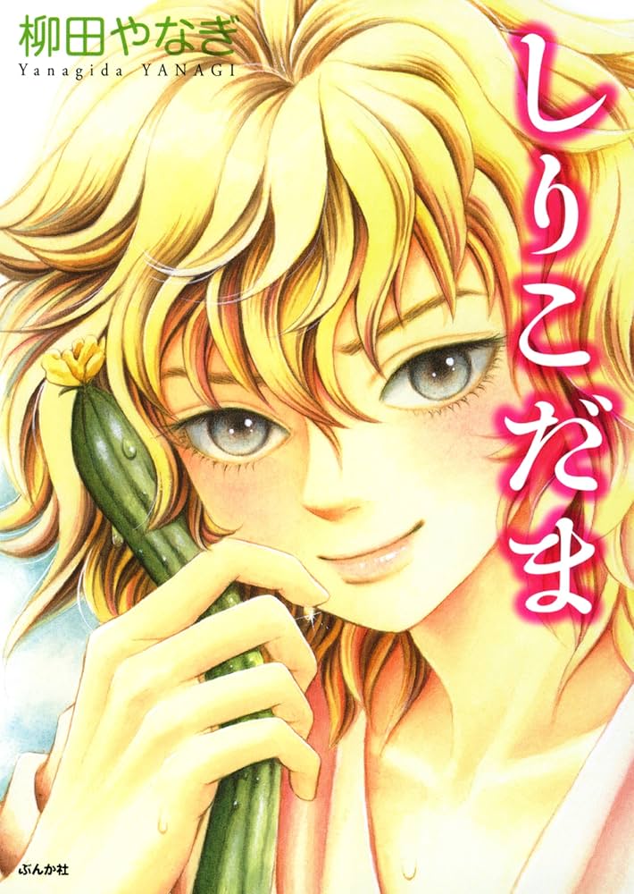 【中古】 しりこだま/ぶんか社/柳田やなぎ しりこだま (ぶんか社コミックス) | 柳田やなぎ | 青年マンガ